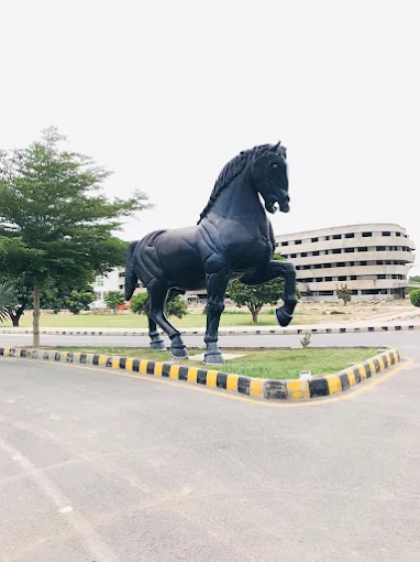 Buch International Hospital, Bosan Road, Multan